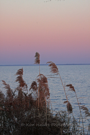 Sunset at Lake Mattamuskeet