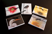 Box of 5 Greeting Cards - Blank Inside.  Your choice of cards.  22.50 plus shipping.