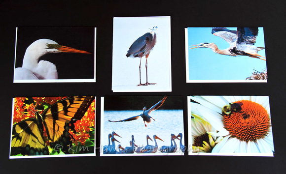 Wildlife Greeting Cards - Blank Inside. 4.50 ea plus shipping.