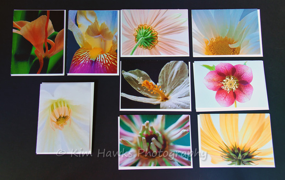 Floral Greeting Cards - Blank Inside 4.50 ea. plus shipping